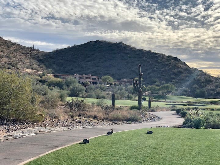 Silverleaf Country Club portfolio 5