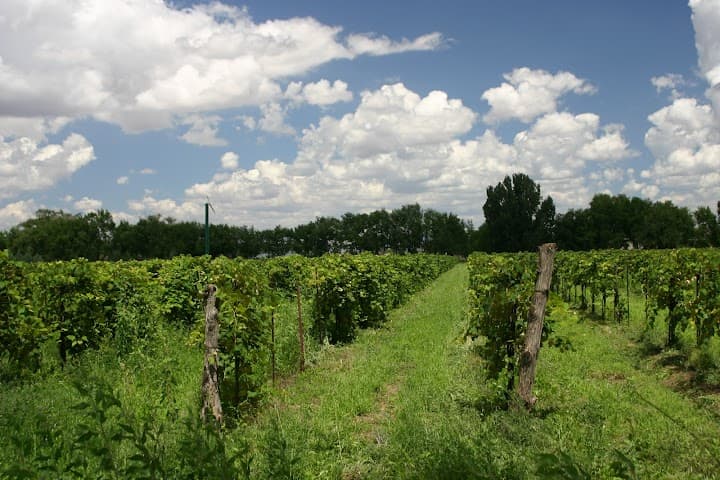 Granite Creek Vineyards LLC portfolio 2