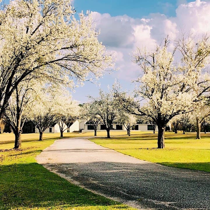 Twenty One Acres portfolio 5