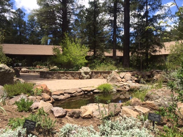 The Arboretum at Flagstaff portfolio 2
