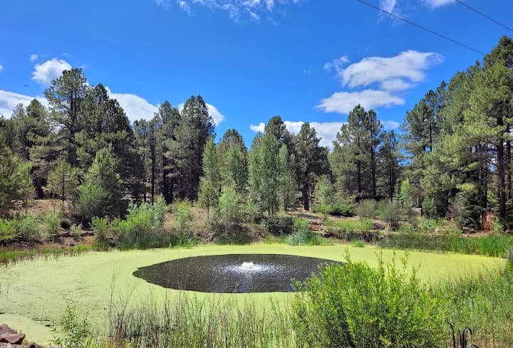 The Arboretum at Flagstaff portfolio 5