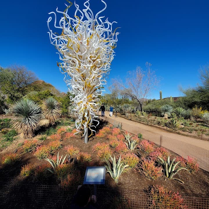 Desert Botanical Garden portfolio 2