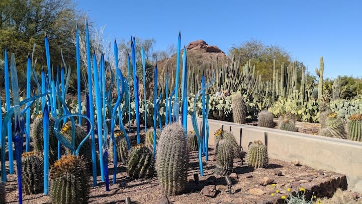 Desert Botanical Garden portfolio 1