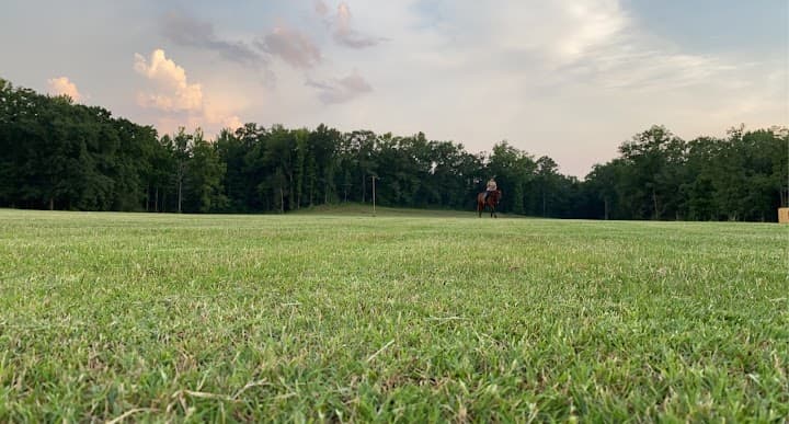 Spring Creek Polo portfolio 4