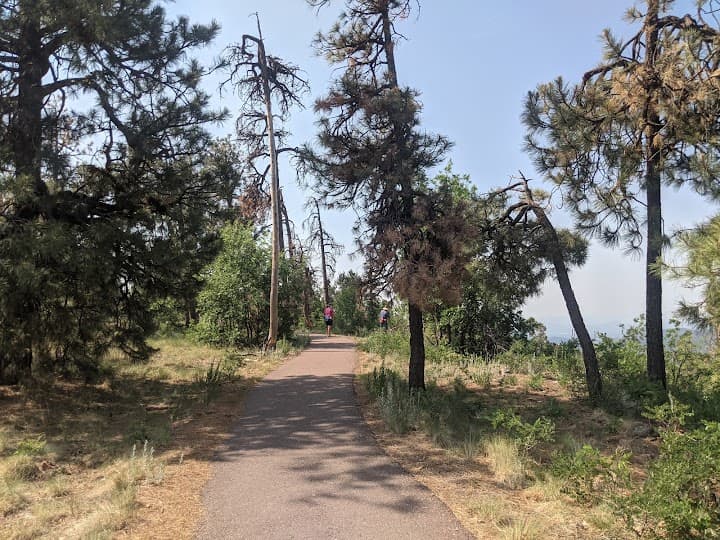 Mogollon Rim portfolio 4