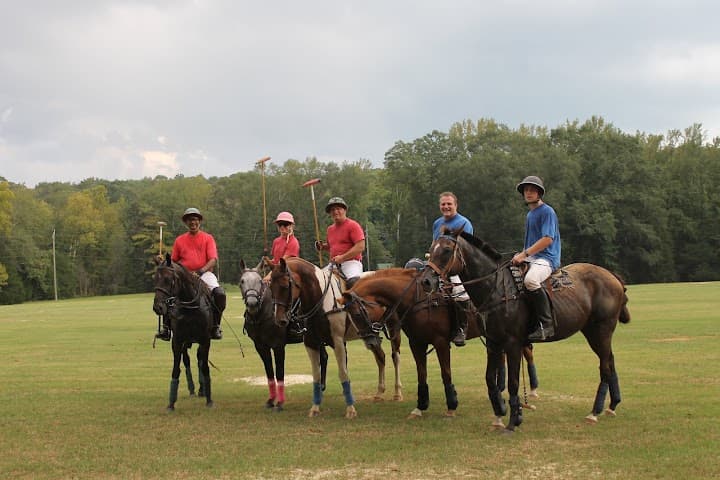Spring Creek Polo portfolio 3