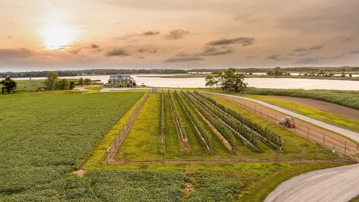 Thousand Acre Farm Wedding & Event Venue portfolio 4
