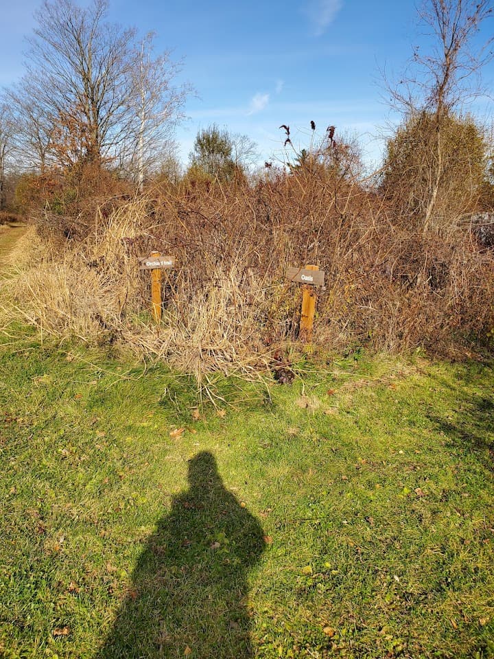 Greenwich Audubon Center portfolio 2