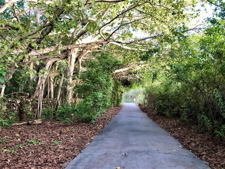 Deering Estate portfolio 1