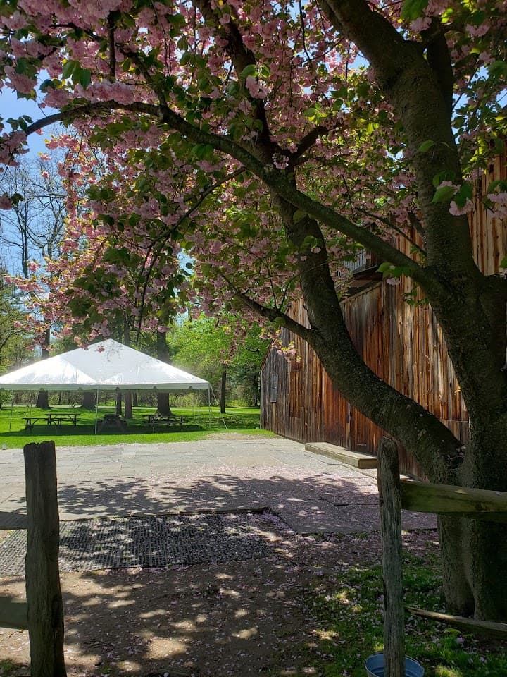The Webb Barn portfolio 2