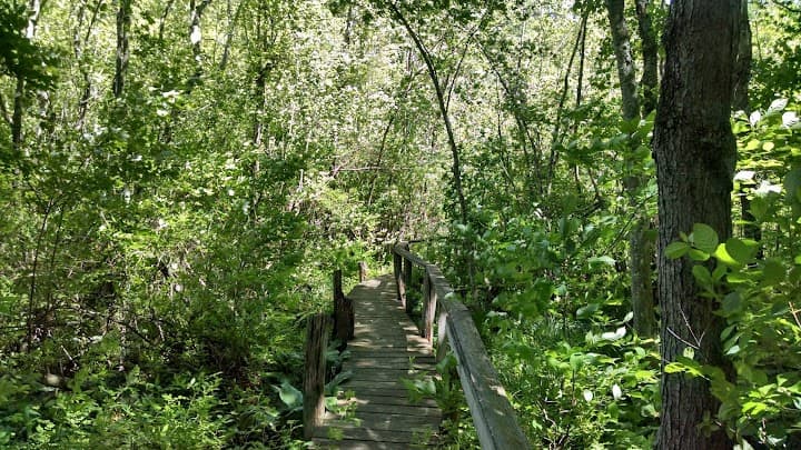 Greenwich Audubon Center portfolio 5
