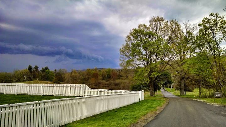 Hill-Stead Museum portfolio 5