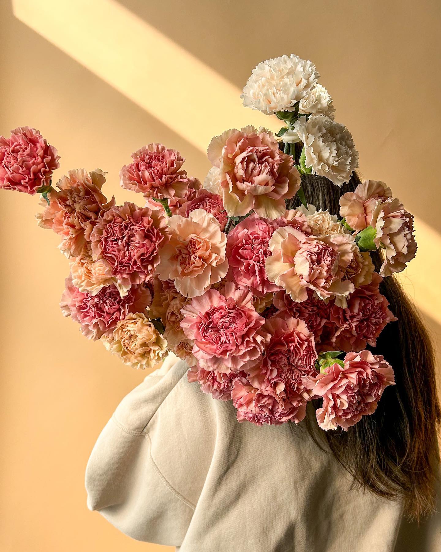 Celsia Floral portfolio 3
