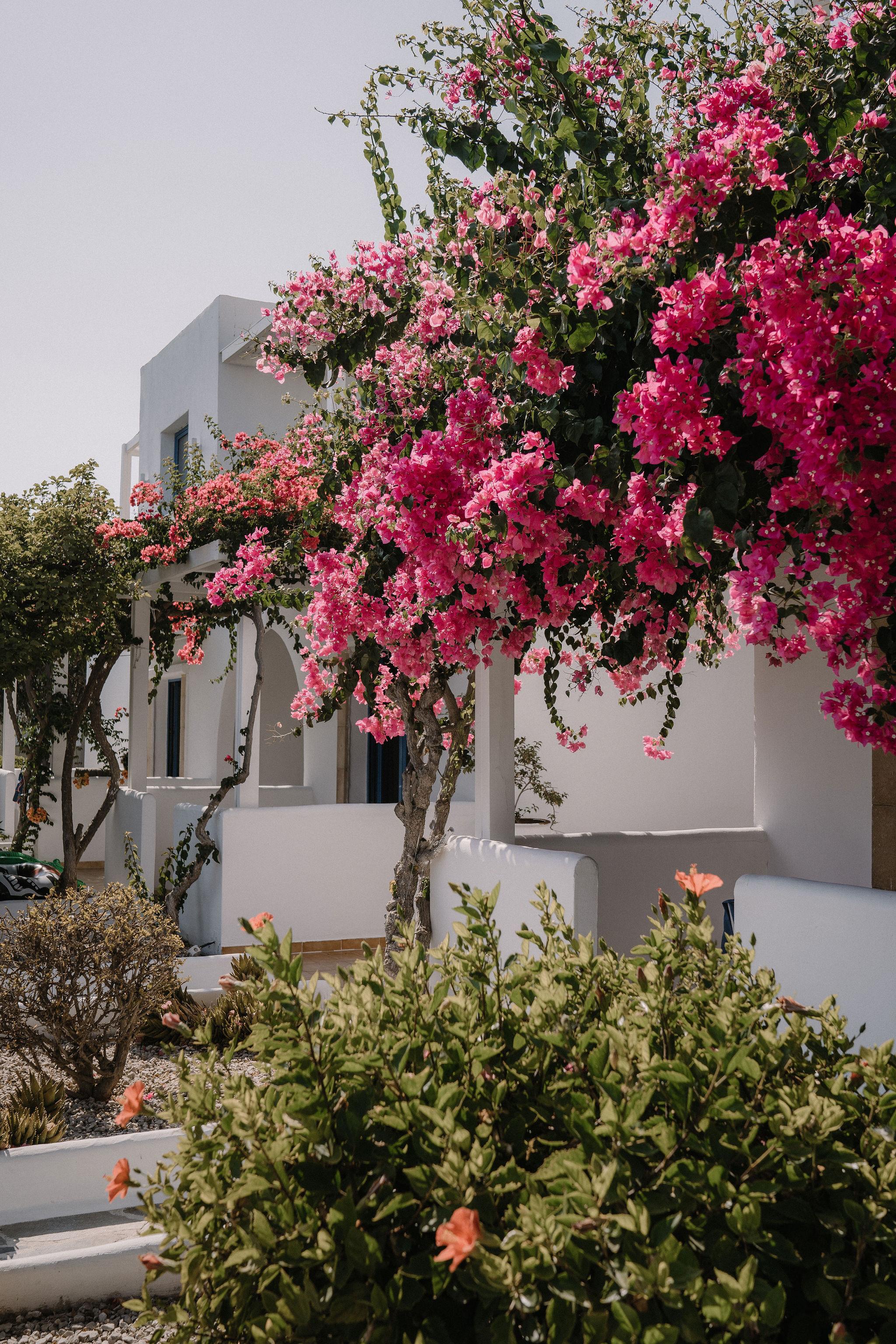 A Boho Summer Wedding at Ktima Lindos photo 3