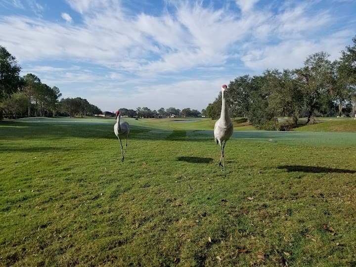 The Club at Eaglebrooke portfolio 1