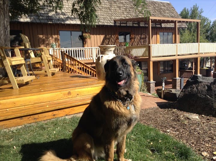 Fox Canyon Vineyards portfolio 2