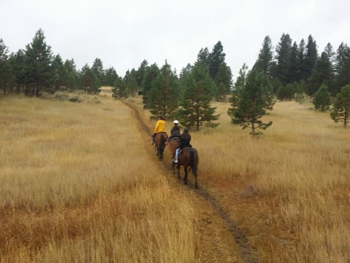 Idaho Guest Ranch-Lazy R Ranch portfolio 3