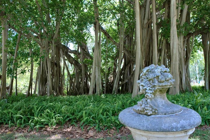 The John and Mable Ringling Museum of Art portfolio 2