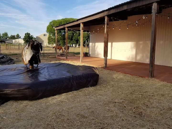 Firefly Ranch portfolio 2