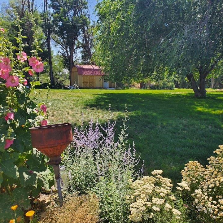 Firefly Ranch portfolio 5