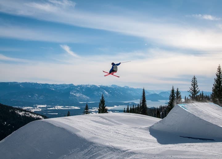 Schweitzer portfolio 5