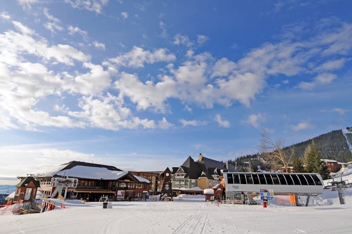 Schweitzer portfolio 1