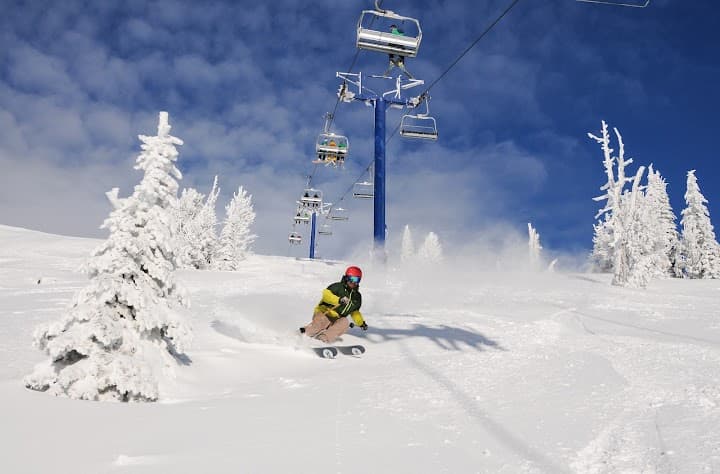 Schweitzer portfolio 4
