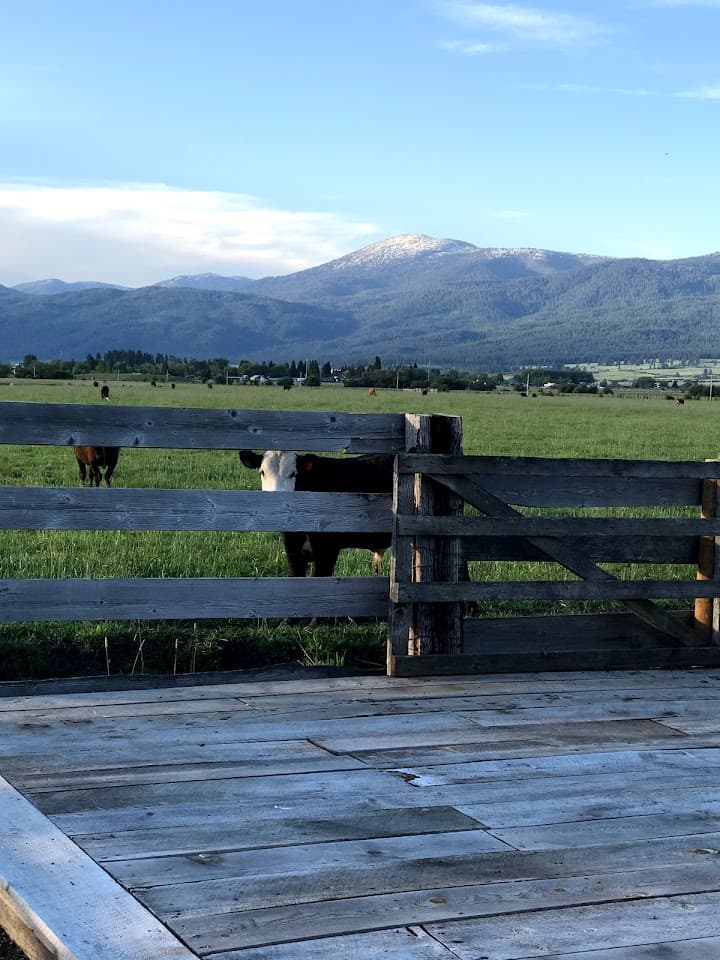 Ranch View Venue portfolio 5