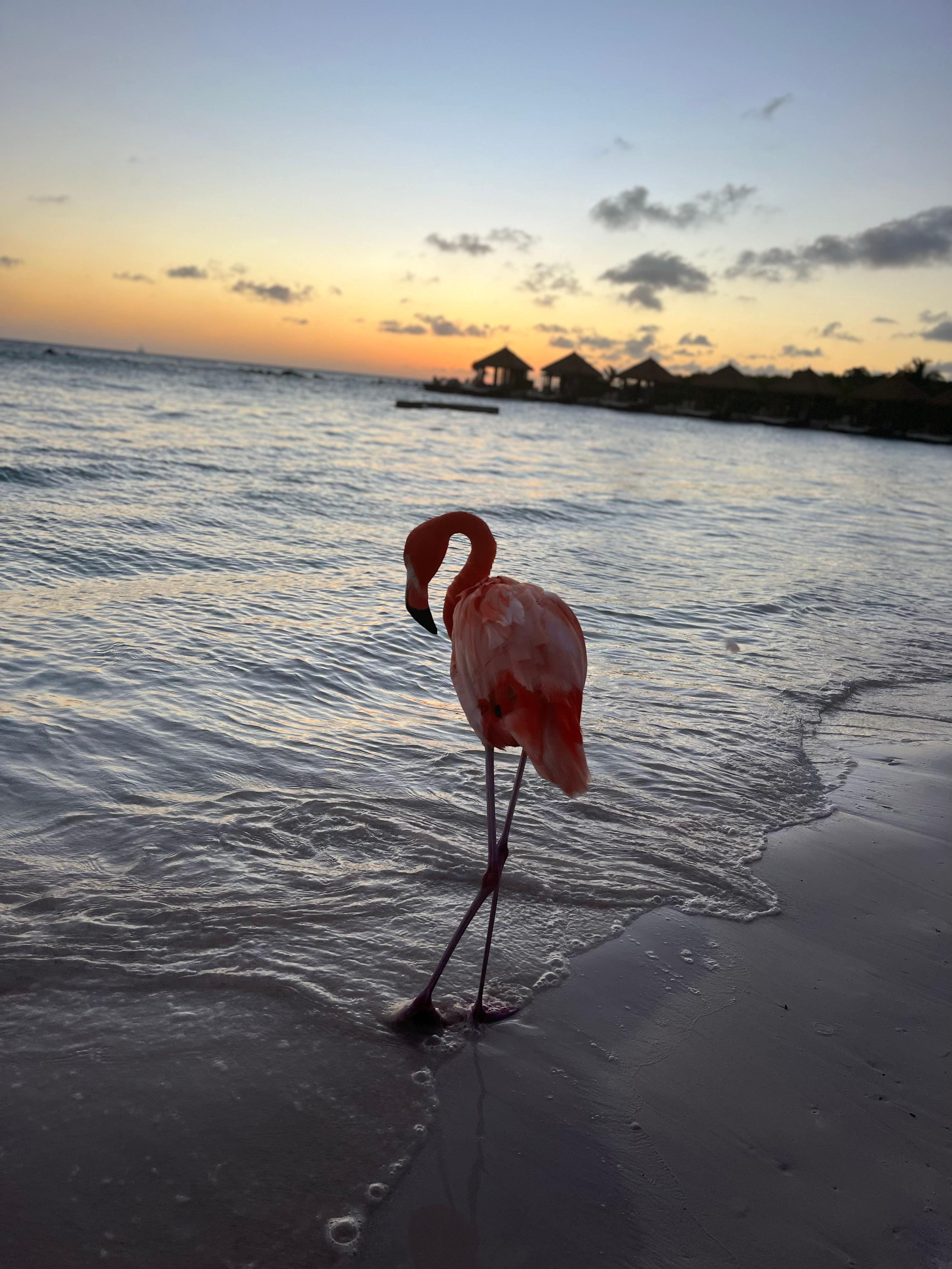 A Glamorous Summer Wedding at Renaissance Island 82