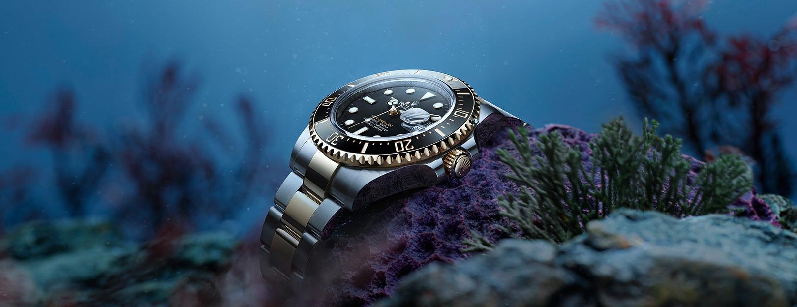 ROLEX portfolio 1