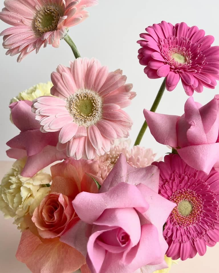 Party Plants and Flowers portfolio 2