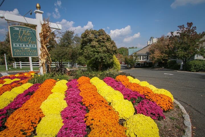 Olde Mill Inn portfolio 3