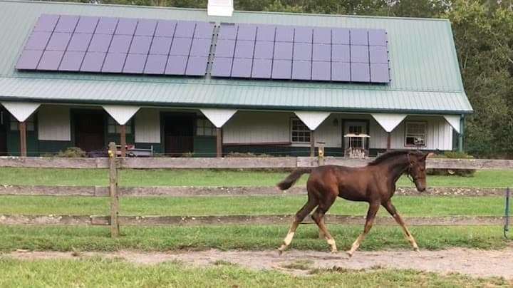 Sterling Stables @ River Run portfolio 3