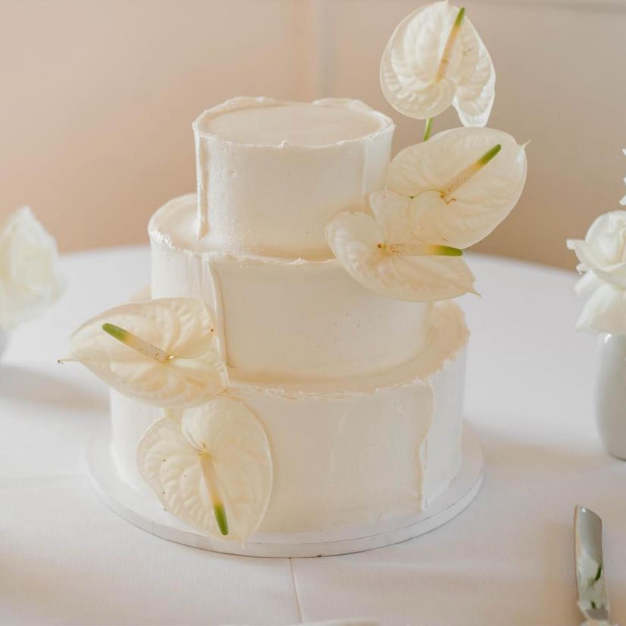 Susie Cakes portfolio 2