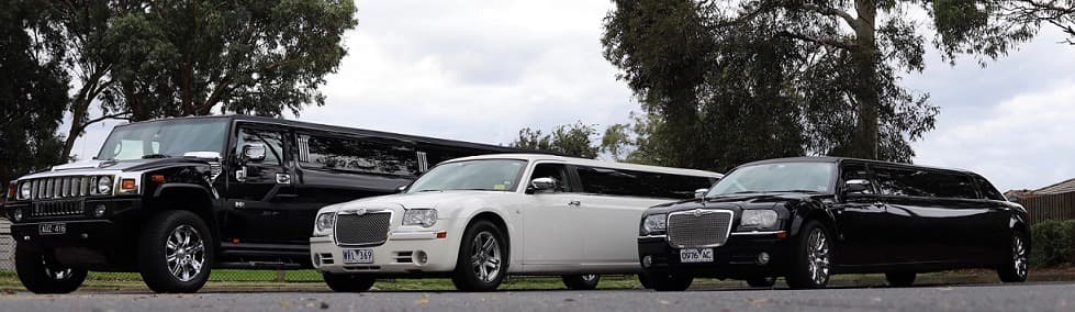 The Limo Company portfolio 1