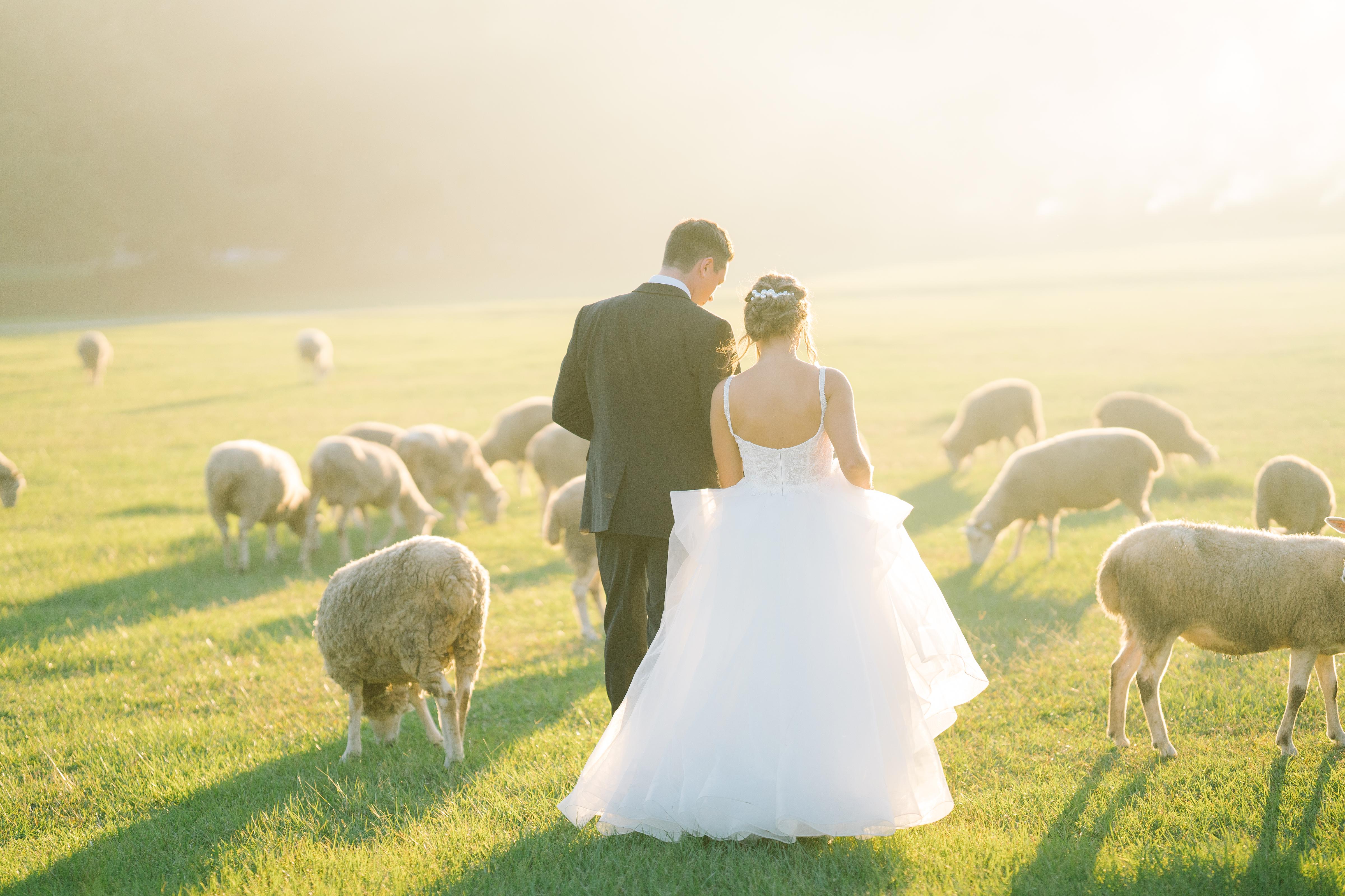 A Classic Summer Wedding at Middleton Place 27