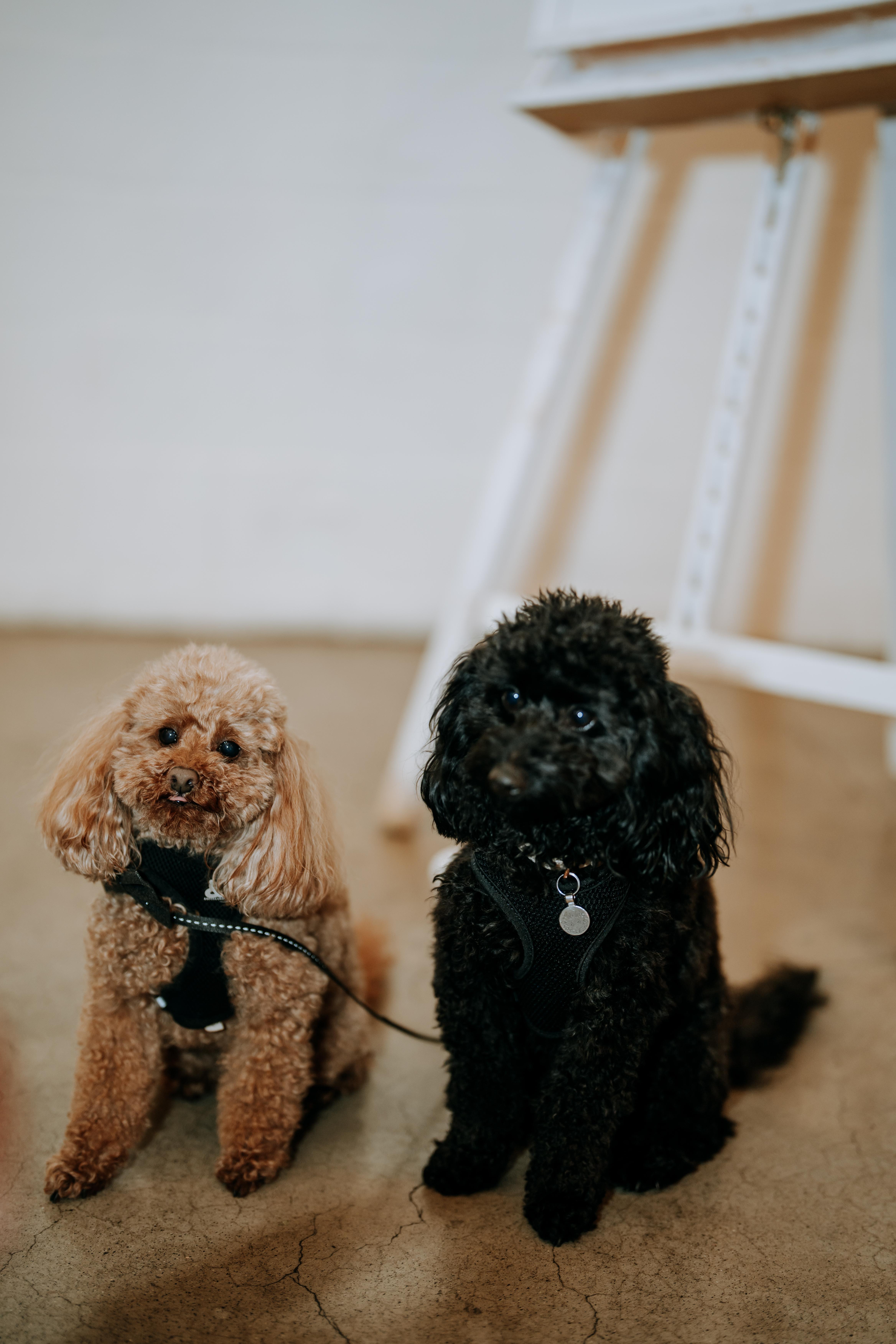 A Glamorous Summer Wedding at Two Ton Max photo 5