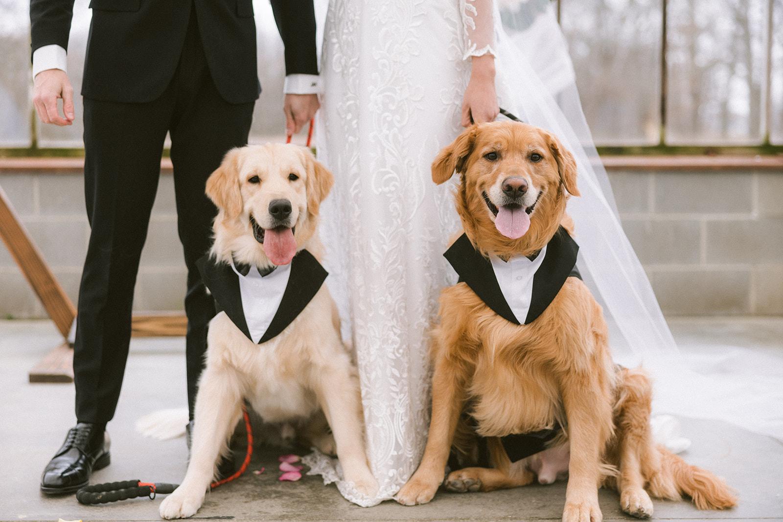 A Classic Spring Wedding at Jorgensen Oak Grove 66