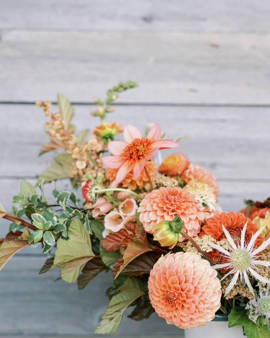 Sea Change Farm & Flower
