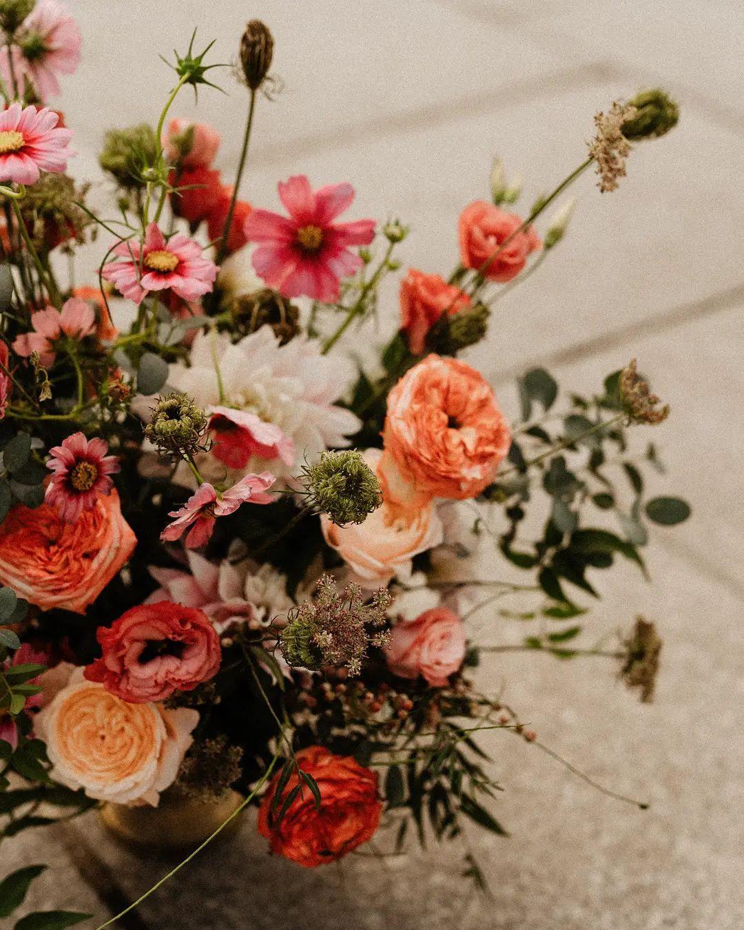 La Plume Flowers portfolio 4