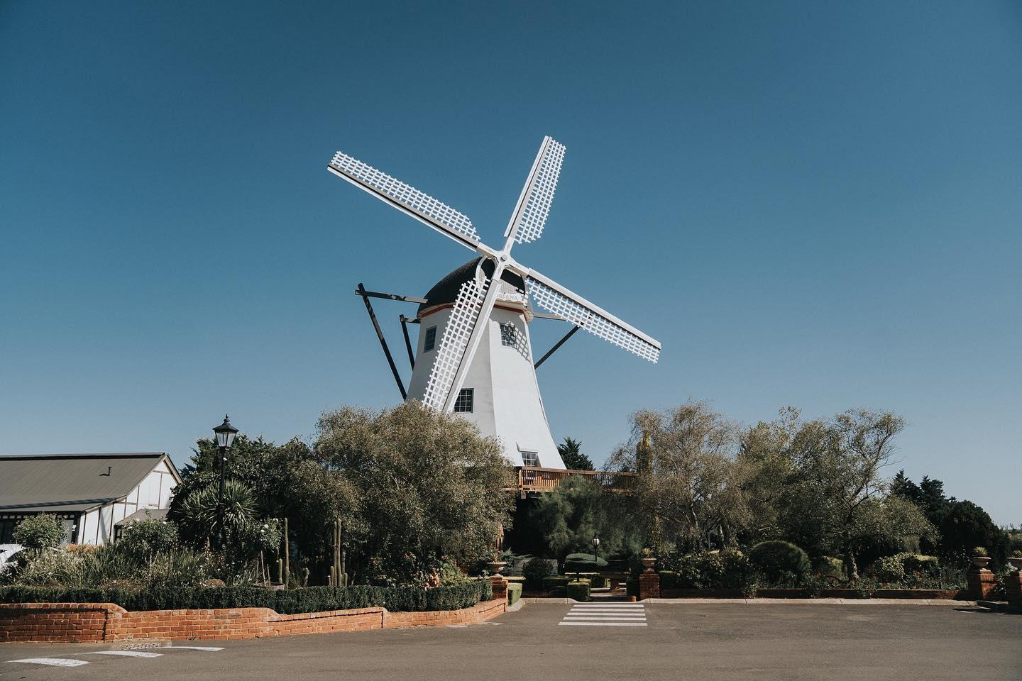 Windmill Gardens portfolio 1