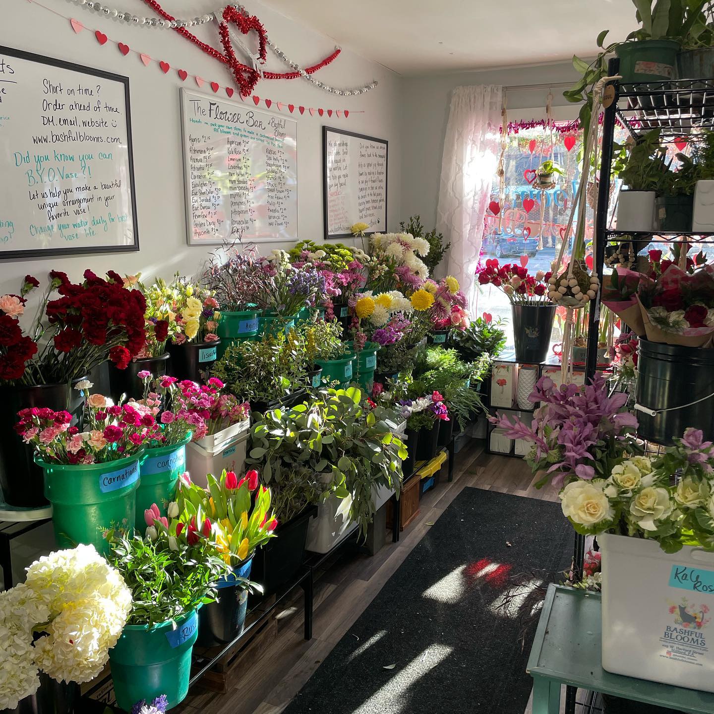 Bashful Blooms, LLC portfolio 1