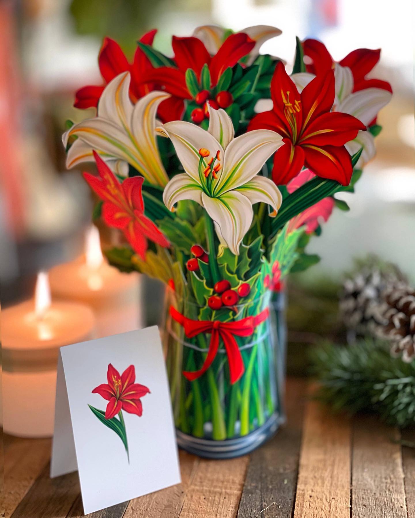 Bashful Blooms, LLC portfolio 3