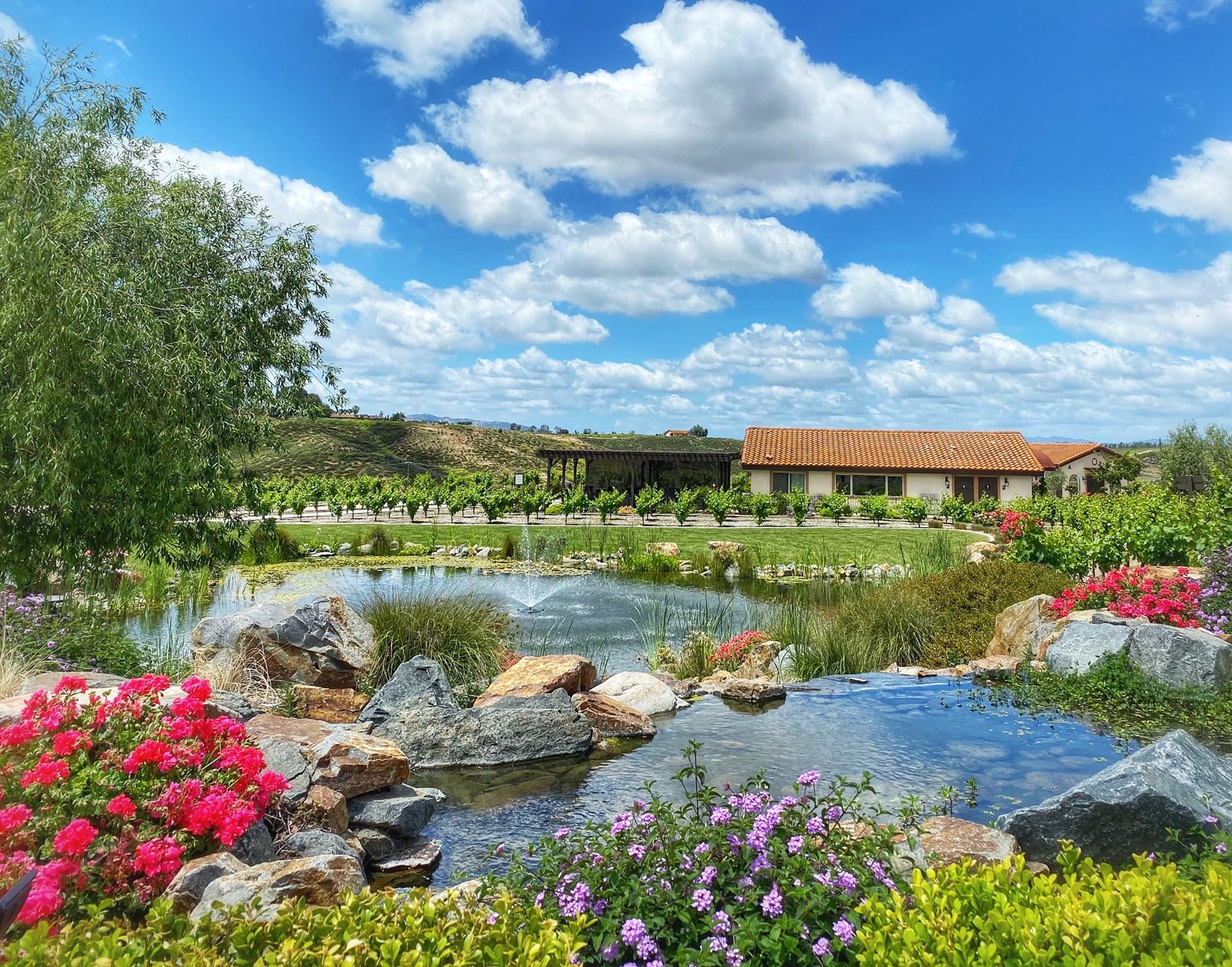 Avensole Winery portfolio 5