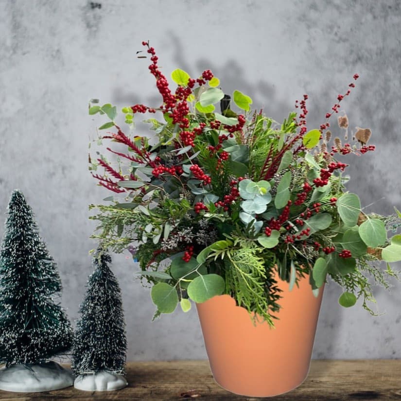 Bashful Blooms, LLC portfolio 2