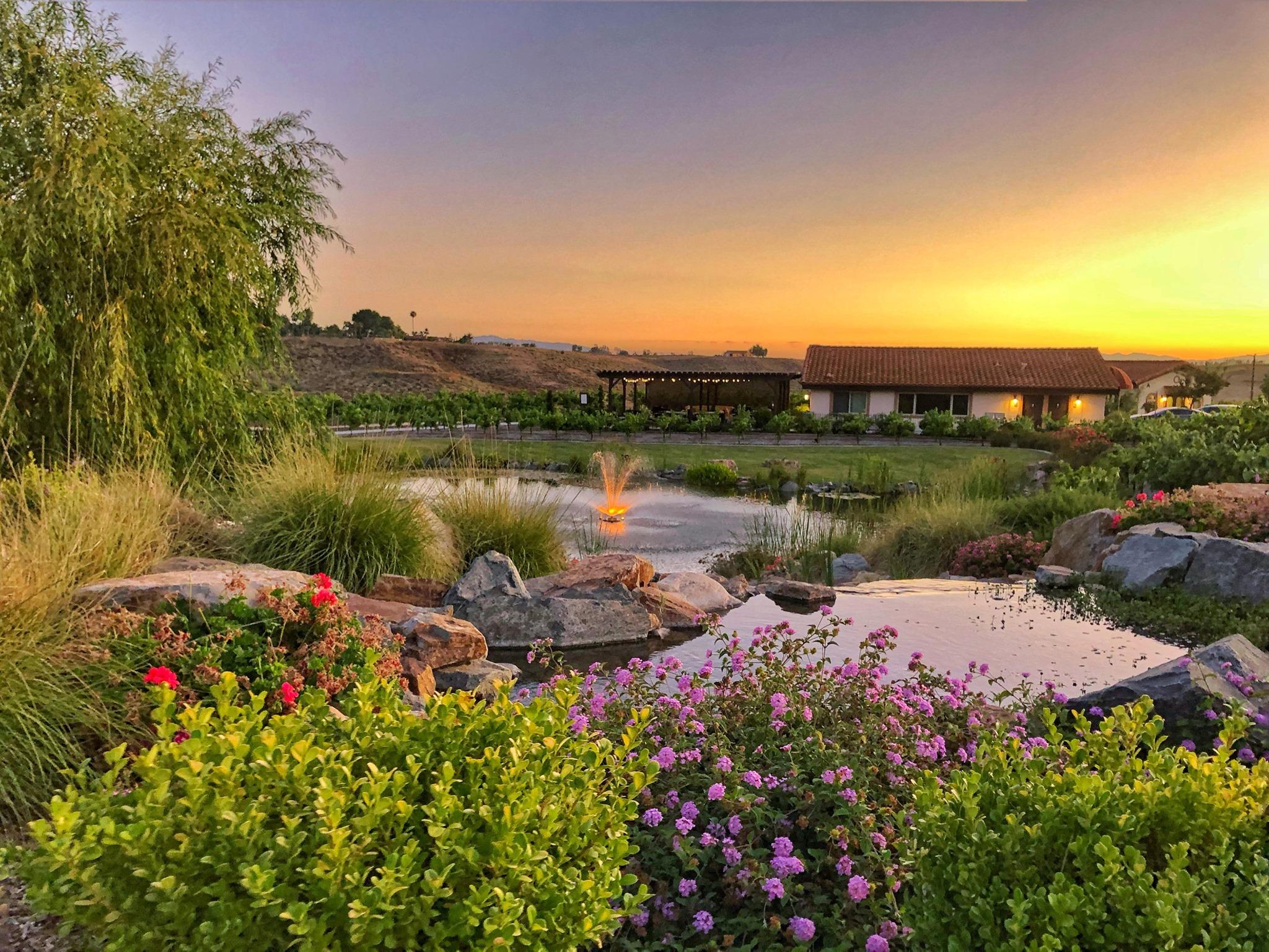 Avensole Winery portfolio 4