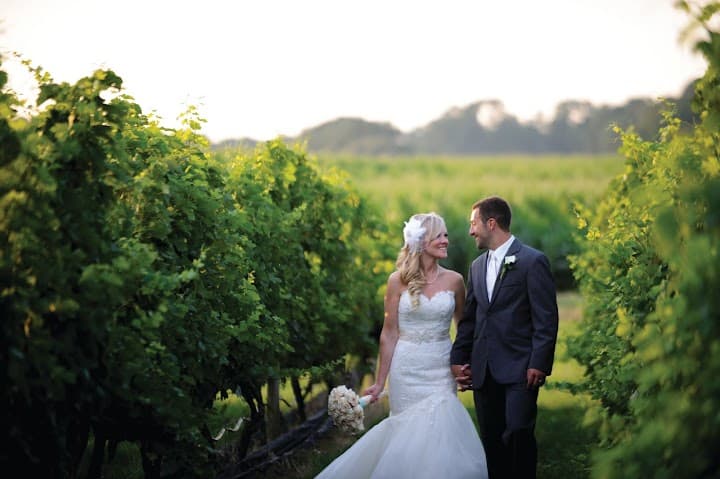 The Vineyards at Aquebogue