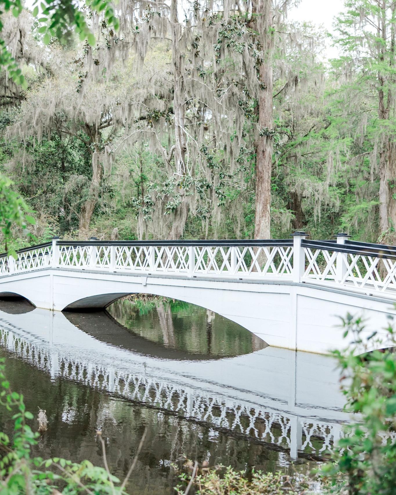 Magnolia Plantation & Gardens portfolio 3