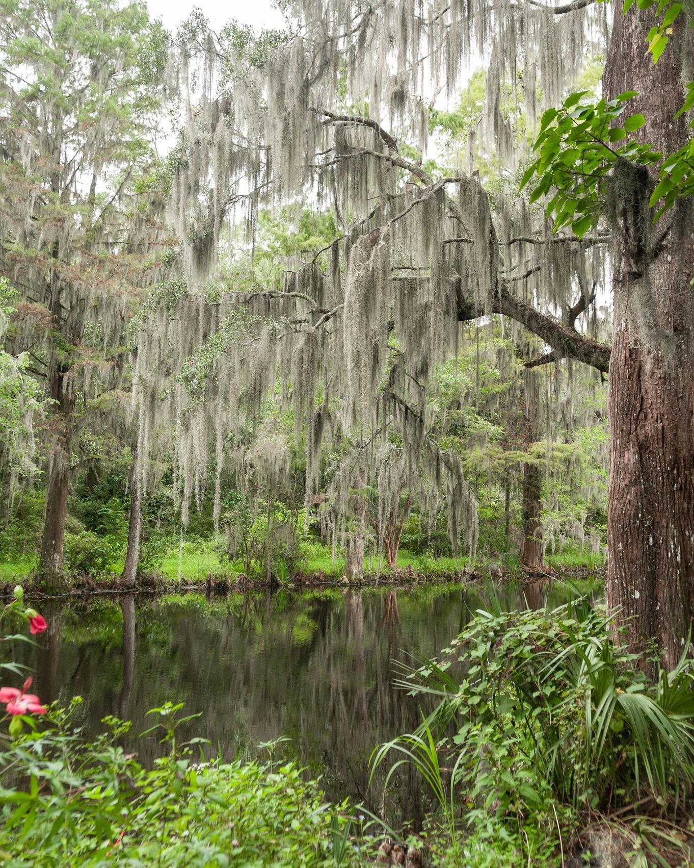 Magnolia Plantation & Gardens