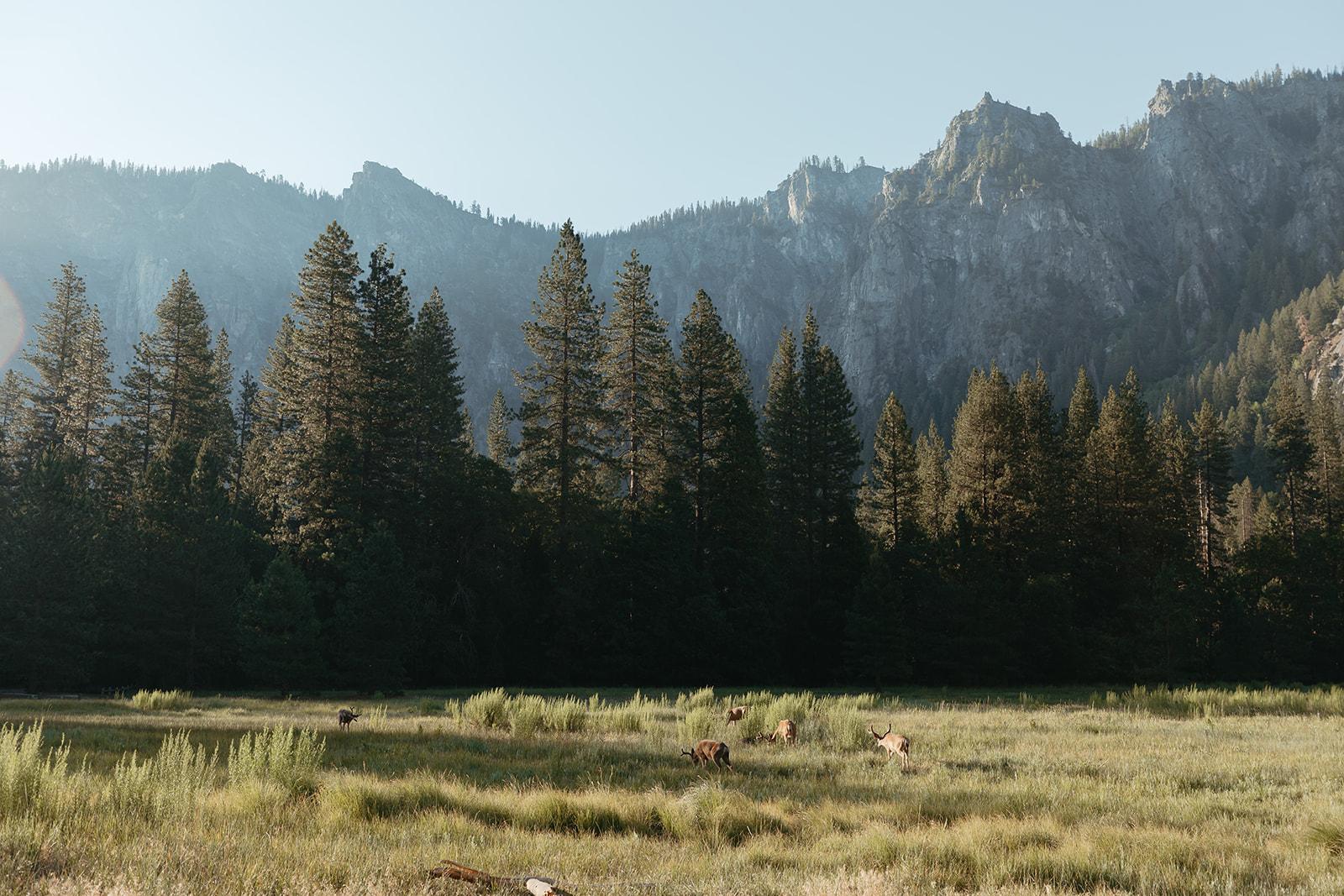 A Romantic Fall Wedding at Yosemite National Park 27